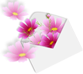 kosumosu5.gif